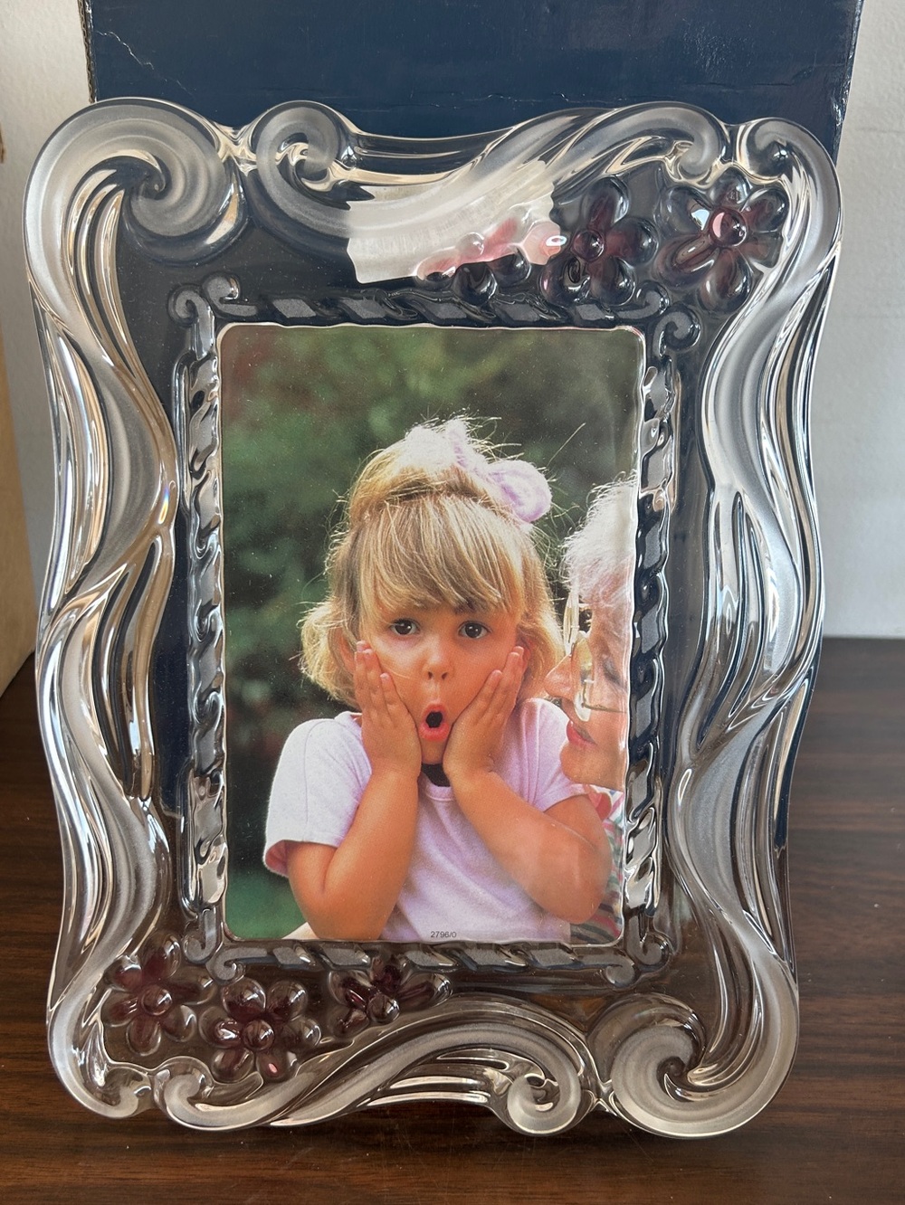 Mikasa Floral Dance Pink Frost 4x6 Photo Frame New in Box